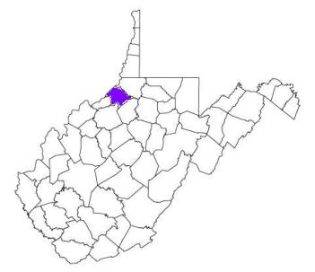 tyler county, tyler county police, tyler county west virginia, tyler county police agencies, police department, wv police, west virginia police department, state police, sheriff, west virginia police, west virginia police, west virginia police officers, west virginia cops, police, cops, officer, west virginia, agency, county, police department, sheriff department, sheriff office, wv police, wv cops